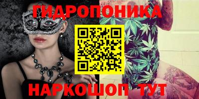 эйфоретик Гудермес