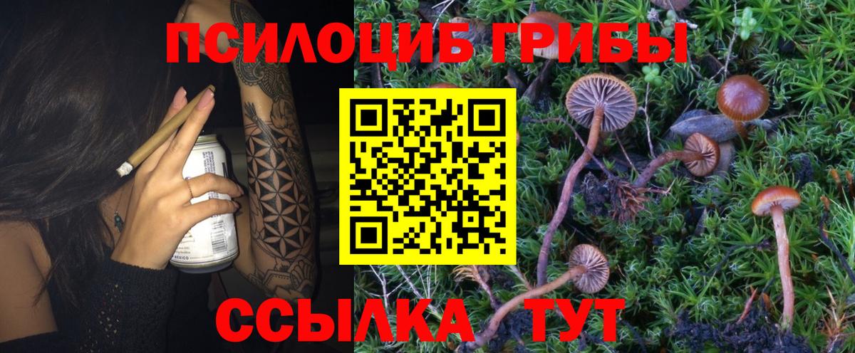 Псилоцибиновые грибы мухоморы Саяногорск